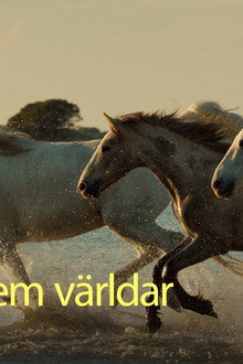 Europas fem världar