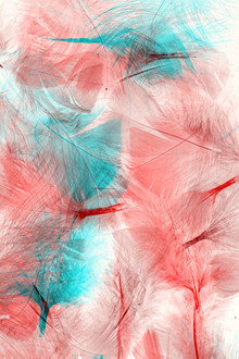Les oiseaux
