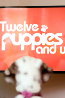 12 Puppies And Us