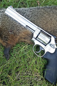 Mr. Groundhog meets Santa Claus