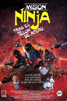 The Ninja Mission