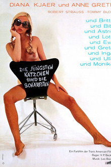 Die jüngsten Kätzchen sind die schärfsten