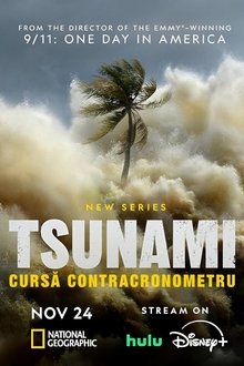Tsunami: Cursă Contracronometru