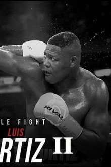 Deontay Wilder vs. Luis Ortiz II