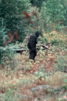 Capturing Bigfoot