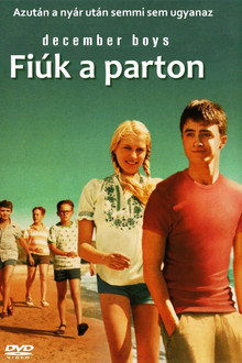 Fiúk a parton