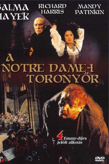 Notre Dame-i toronyőr