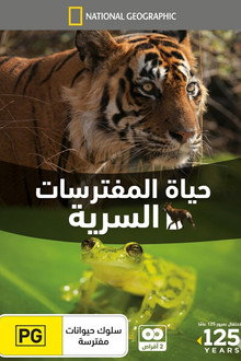 حياة المفترسات السرية