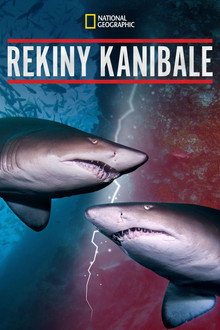 Rekiny kanibale