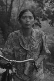 Bunga dan Tembok