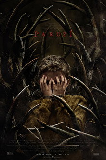 Paroží
