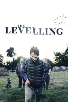 Poster do filme The Levelling