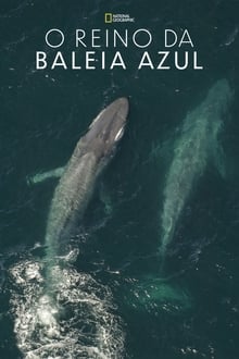 Poster do filme O Reino da Baleia Azul