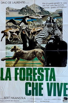 La foresta che vive