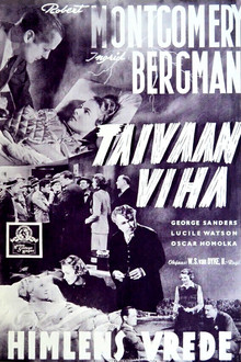Taivaan viha