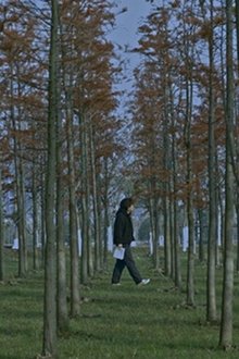 五里霧中