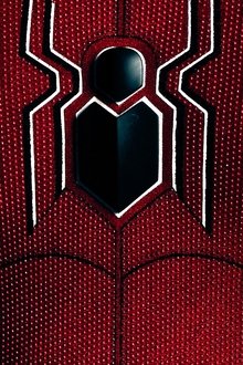 Spider-Man: All Roads Lead to No Way Home