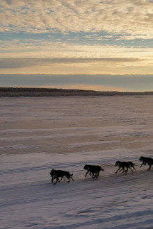 Sacred Alaska