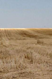 La grâce du sillon