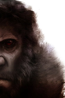 Záhada australského Bigfoota