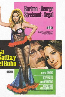La gatita y el búho