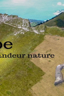 Saype, artiste grandeur nature