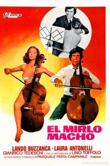 Rascunho automático