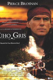 Búho Gris