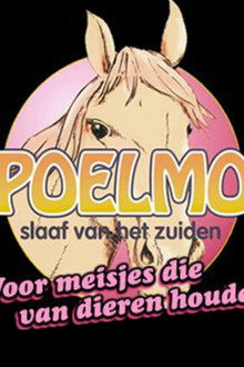 Hans Teeuwen, Gummbah en Pieter Bouwman: Poelmo, Slaaf van het Zuiden