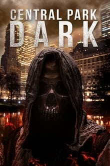 Poster do filme Central Park Dark