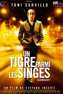 Un tigre parmi les singes