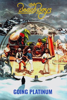 Goin' Platinum Presents The Beach Boys
