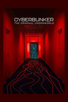 Cyberbunker: The Criminal Underworld