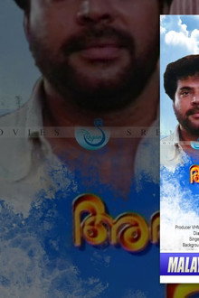 അരയന്നങ്ങളുടെ വീട്