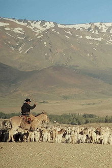 Transhumance