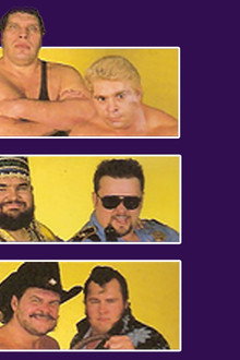 WWE Survivor Series 1988
