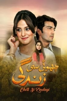 Poster da série چھوٹی سی زندگی‎