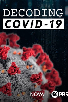 Decoding COVID-19