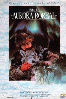 Bajo la aurora boreal