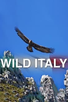 Poster da série Wild Italy