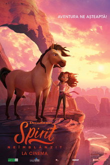 Spirit neîmblânzit