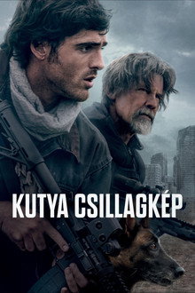 Kutya csillagkép