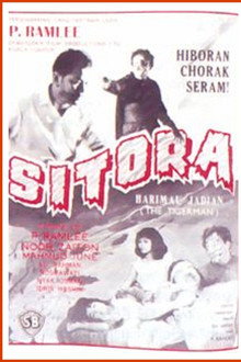 Sitora Harimau Jadian