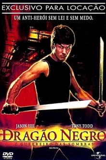 Poster do filme Dragão Negro: O Guerreiro das Sombras