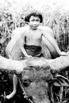 Chang-A-Drama-of-the-Wilderness