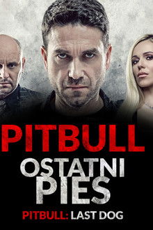 Pitbull. Last Dog