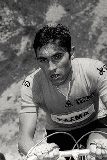 1969 - Following Merckx