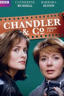 Poster da série Chandler & Co.