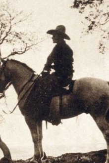 The Trail Rider