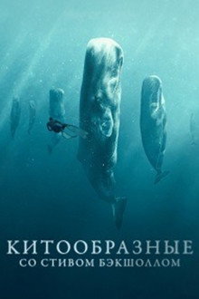 Китообразные со Стивом Бэкшоллом